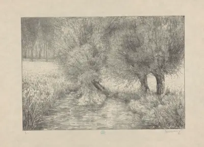 Knotwilgen aan slootkant von Simon Moulijn