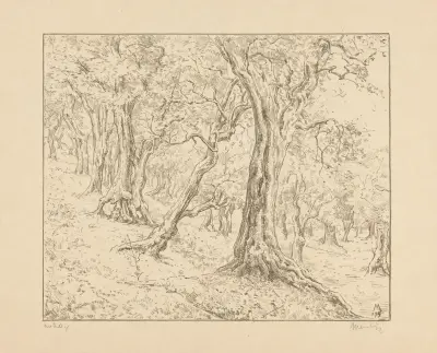 Olijvenbos bij Tivoli von Simon Moulijn