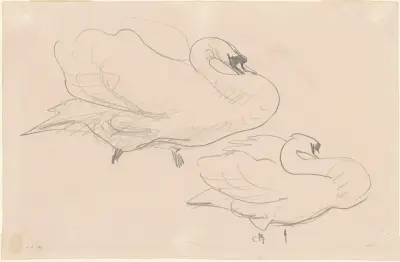 Studies of a Swan av John Singer Sargent