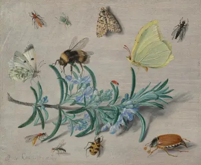 Insects and a Sprig of Rosemary, Jan Van Kessel The Elder