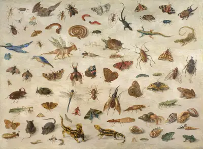 Insects, batrachians, shells and mouses, Jan Van Kessel The Elder