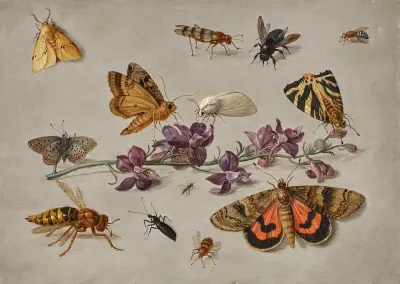 Sprig of Larkspur with Butterflies, Moths, and a Wasp av Jan Van Kessel The Elder