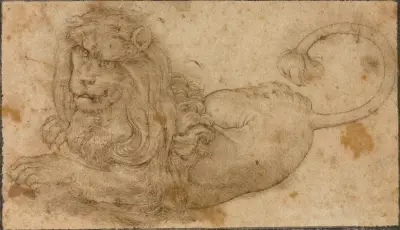 Studium lwa, Lucas Cranach the Elder