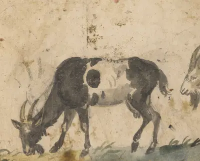 Studium kóz, Lucas Cranach the Elder