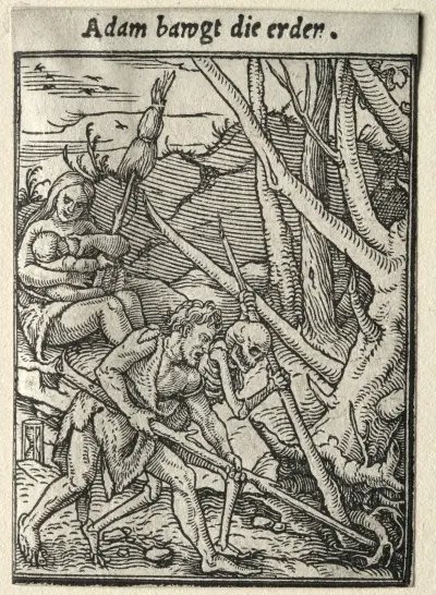 Adam Tilling the Ground von Hans Holbein The Younger