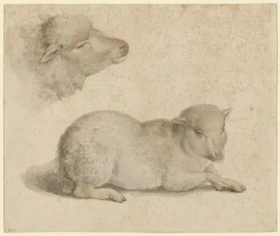 Ruhendes Lamm und Kopf eines Lammes von Hans Holbein The Younger