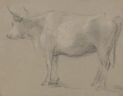 Studie krávy, Thomas Gainsborough