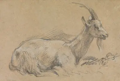 Studie kozy, Thomas Gainsborough
