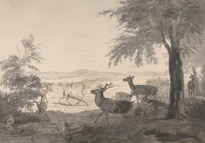 Pohled na Dyrehaven, Johan Thomas Lundbye
