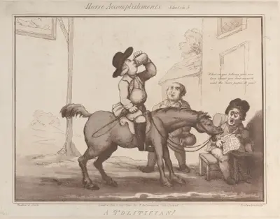 A Politician !!, Thomas Rowlandson