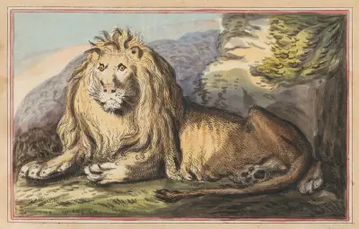 The Lion, Thomas Rowlandson