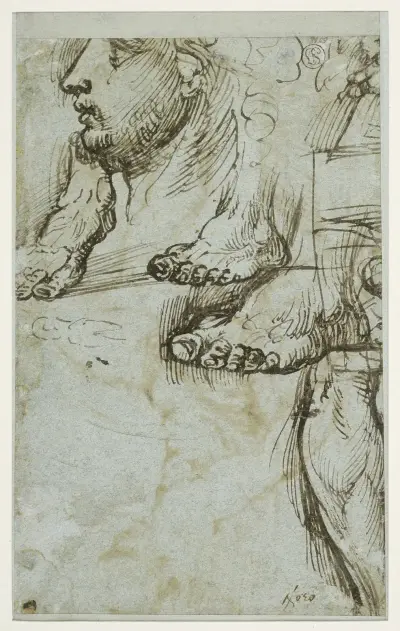 Study of a head in profile, three feet and a lower leg av Titian
