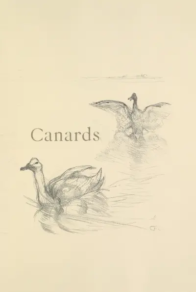 Canards av Henri de Toulouse-Lautrec