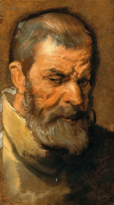 Głowa brodatego mężczyzny, Anthony van Dyck
