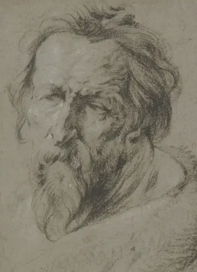 Głowa brodatego starca zwrócona w lewo, Anthony van Dyck
