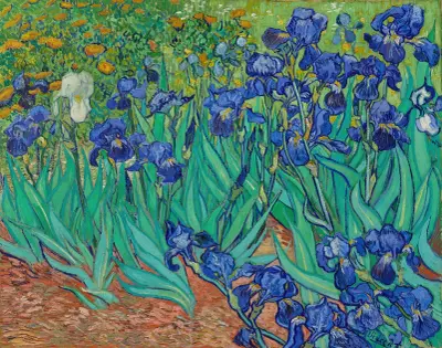 Irisar, 1889 av Vincent van Gogh
