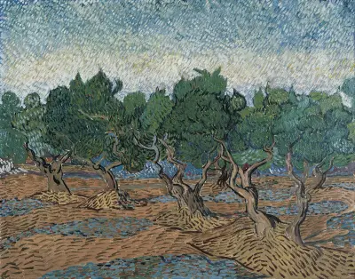 Olive grove av Vincent van Gogh