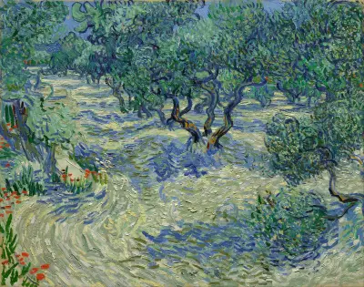 Olive Orchard av Vincent van Gogh