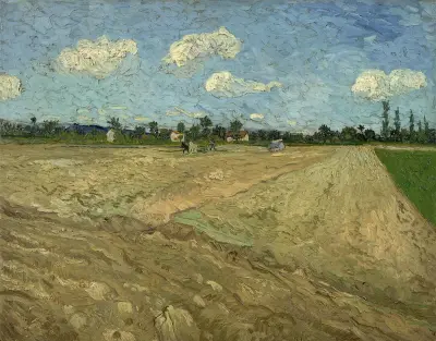 Gepflügte Felder (Die Furchen) von Vincent van Gogh