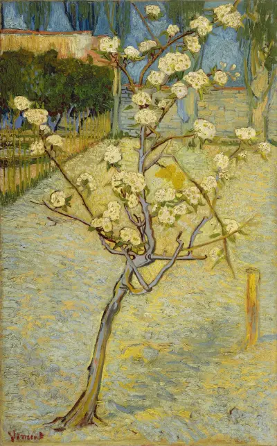 Small pear tree in blossom av Vincent van Gogh