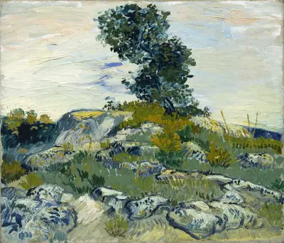 The Rocks av Vincent van Gogh