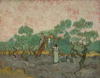 Women Picking Olives av Vincent van Gogh