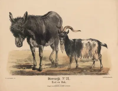Osel a kniha, Hendrik Jan van Lummel