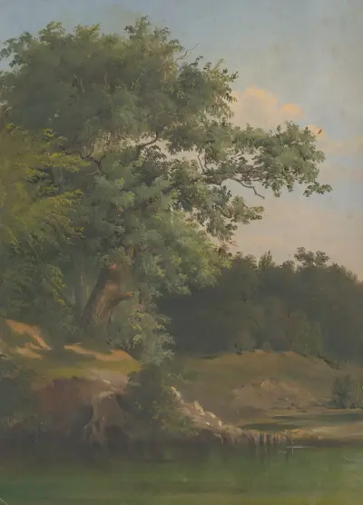 Im Wald von Friedrich Carl von Scheidlin