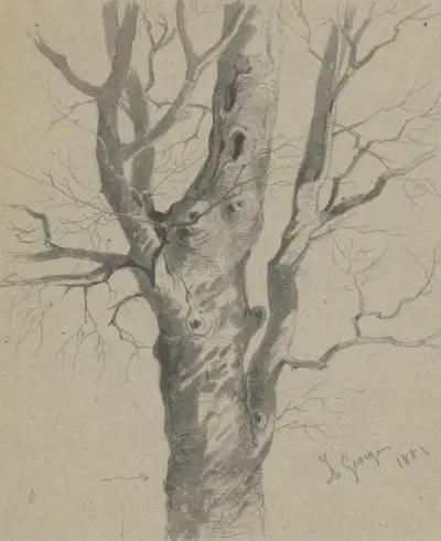 Studie eines knorrigen Baumstamms von Friedrich Carl von Scheidlin