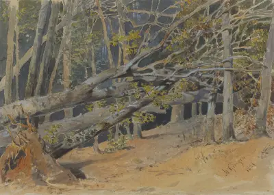Studie gefällter Bäume von Friedrich Carl von Scheidlin