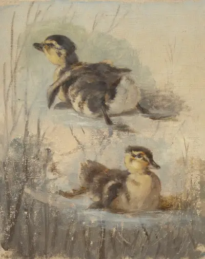 Studie von Enten auf dem Wasser II von Friedrich Carl von Scheidlin