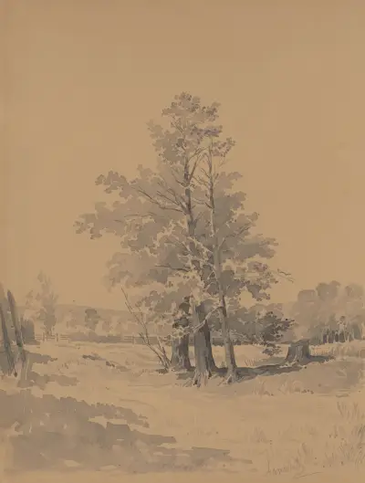 Bäume am Waldrand von Friedrich Carl von Scheidlin