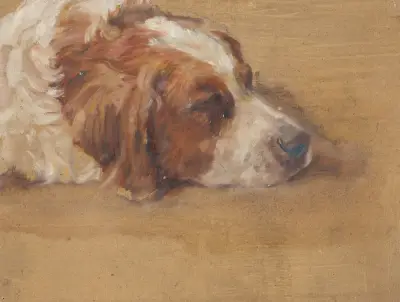 Hundekopf (Studie) av Walther Gamerith