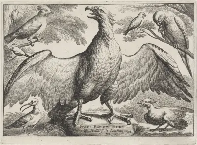 An eagle with outstretched wings standing on a rock, surrounded by six other birds av Wenceslaus Hollar