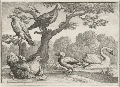 Birds by a river; a swan and duck, a chicken with a brood of chicks, another fowl and two more birds in a tree av Wenceslaus Hollar