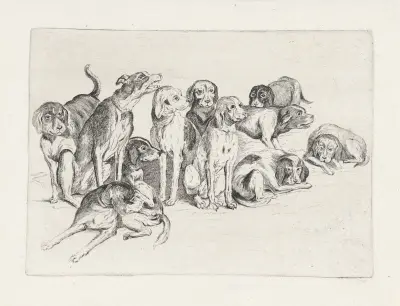 Eleven Hounds av Wenceslaus Hollar