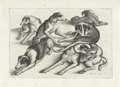 Five hounds lying on the ground, licking themselves av Wenceslaus Hollar