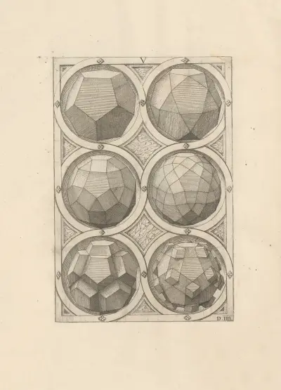 Perspectiva Corporum Regularium (Perspective of regular solids) Pl.17, Wenzel Jamnitzer