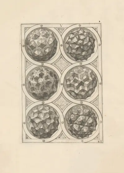 Perspectiva Corporum Regularium (Perspective of regular solids) Pl.20, Wenzel Jamnitzer