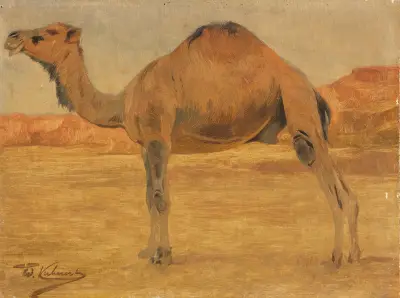 Dromedar av Wilhelm Kuhnert