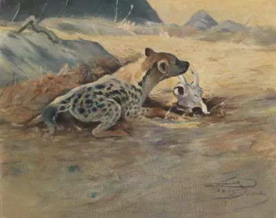 Hyäne auf der Lauer av Wilhelm Kuhnert