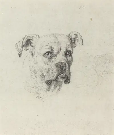 A Boxer, Johann Heinrich Wilhelm Tischbein