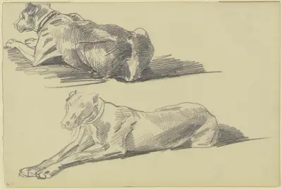 Studienblatt; Die Dogge Cäsar, liegend nach links von Wilhelm Trübner
