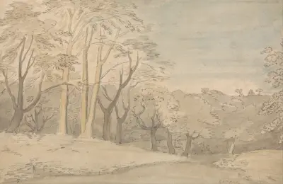 A Woody Landscape av William Blake