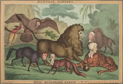 Natural history. Royal Zoological Garden – Pl 1st. av William Heath