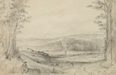 The Fern ground, looking up towards Managaroa av William Swainson