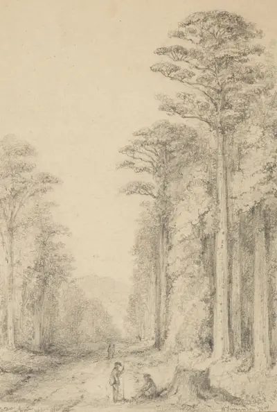 Totara Grove, Upper Hutt av William Swainson