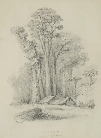Wirinaki Station av William Swainson