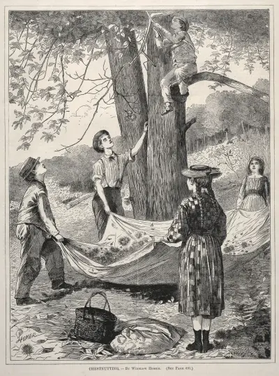 Sběr kaštanů, Winslow Homer