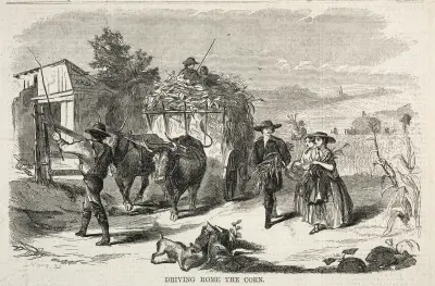 Heimfahrt mit dem Mais von Winslow Homer